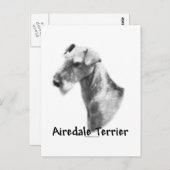 Airedale Terrier Charcoal Postkarte (Vorne/Hinten)