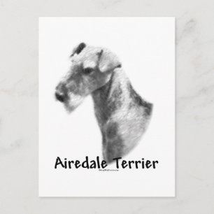Airedale Terrier Charcoal Postkarte