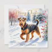 Airedale Terrier Dog im Winter Schnee Weihnachten (Vorderseite)
