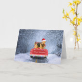 Airedale Terrier Dog in Snow sitzt zu Weihnachten Karte (Gelbe Blume)