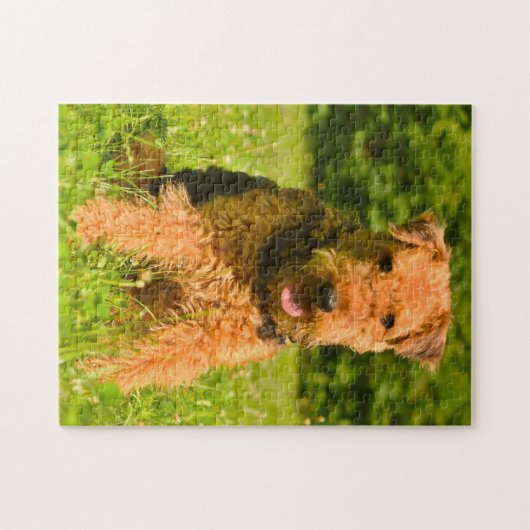 Airedale Terrier Dog. Puzzle (Horizontal)