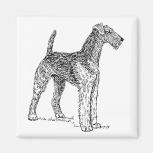 Airedale Terrier Elegante Zeichnend Hund Magnet