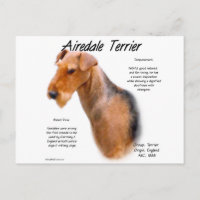 Airedale Terrier Geschichte