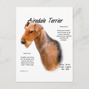 Airedale Terrier Geschichte Postkarte