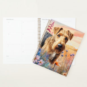 Airedale Terrier Hund auf einer Wildblumenwiese Planer