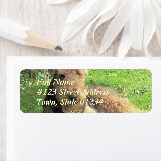 Airedale Terrier Hund Rücksendeadresse (Insitu)