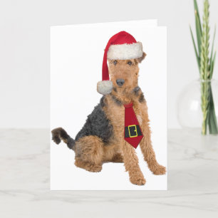 Airedale-Terrier in der Weihnachtsmannmütze Feiertagskarte