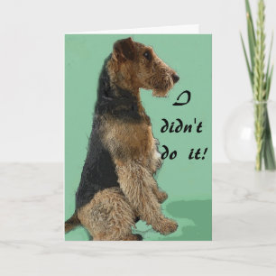 Airedale-Terrier Karte