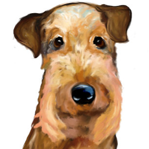 AIREDALE TERRIER KISSEN