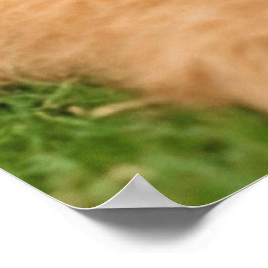 Airedale Terrier mit Welpe Poster (Ecke)