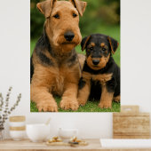 Airedale Terrier mit Welpe Poster (Küche)