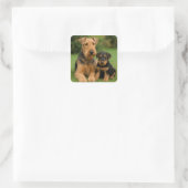Airedale Terrier mit Welpe Quadratischer Aufkleber (Tasche)