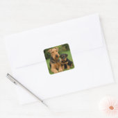 Airedale Terrier mit Welpe Quadratischer Aufkleber (Umschlag)