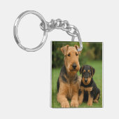 Airedale Terrier mit Welpe Schlüsselanhänger (Vorderseite links)