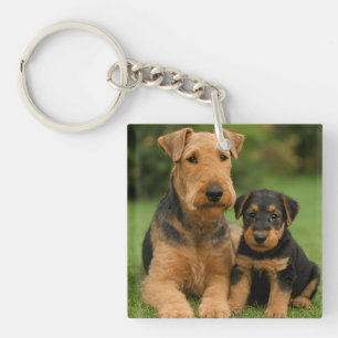 Airedale Terrier mit Welpe Schlüsselanhänger