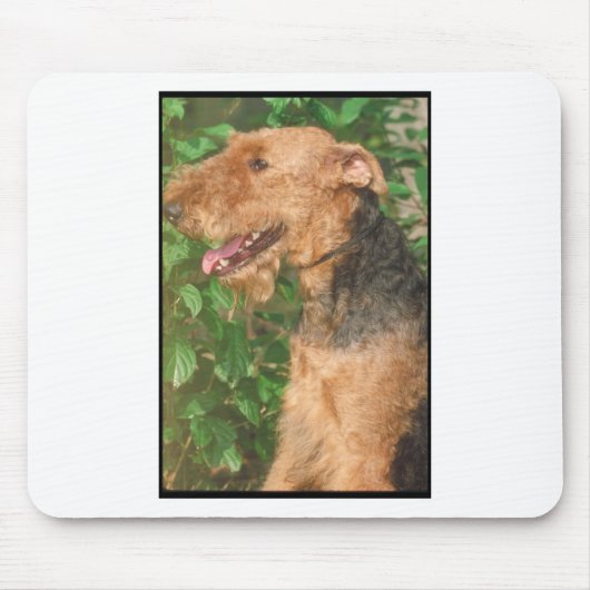 Airedale Terrier Mousepad (Vorne)