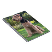 Airedale Terrier Notebook Notizblock (Rechte Seite)