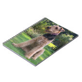 Airedale Terrier Notebook Notizblock (Linke Seite)