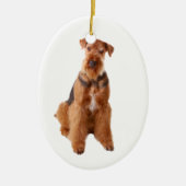 Airedale Terrier Ornament (Vorne)