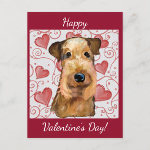 Airedale Terrier Postkarte