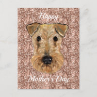 AIREDALE TERRIER