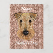 AIREDALE TERRIER POSTKARTE (Vorderseite)