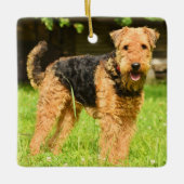 Airedale Terrier Puppy Dog Keramikornament (Vorderseite)