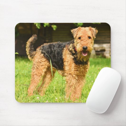 Airedale Terrier Puppy Dog Mousepad (Mit Mouse)