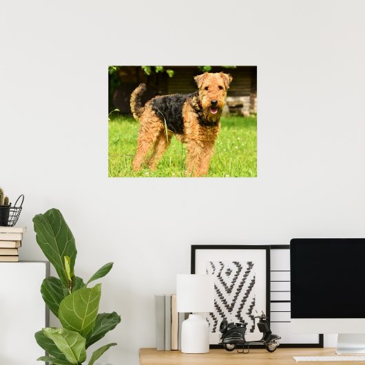 Airedale Terrier Puppy Dog Poster (Heimbüro)