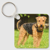 Airedale Terrier Puppy Dog Schlüsselanhänger (Vorderseite)