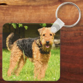 Airedale Terrier Puppy Dog Schlüsselanhänger (Rückseite)