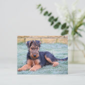 Airedale Terrier Puppy Doppy Green Postcard Postkarte (Stehend Vorderseite)