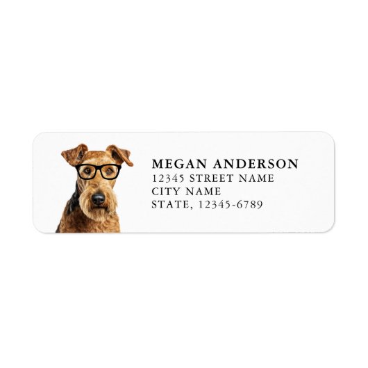 Airedale Terrier Rücksendeadressen-Aufklebers (Vorne)