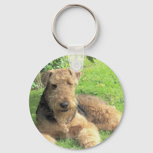 Airedale Terrier Schlüsselanhänger (Vorderseite)
