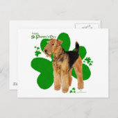 Airedale Terrier St Paddy Postkarte (Vorne/Hinten)