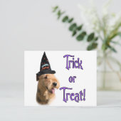 Airedale Terrier Trick Postkarte (Stehend Vorderseite)