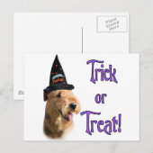 Airedale Terrier Trick Postkarte (Vorne/Hinten)