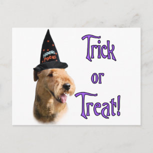Airedale Terrier Trick Postkarte
