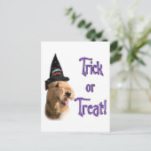 Airedale Terrier Trick Postkarte (Stehend Vorderseite)