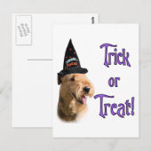 Airedale Terrier Trick Postkarte (Vorne/Hinten)