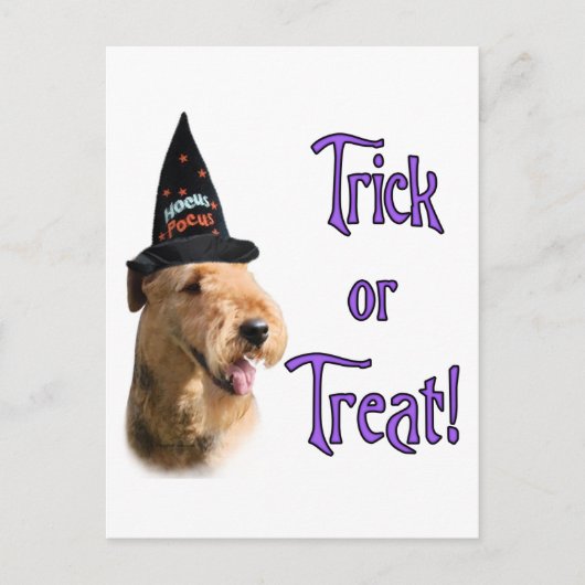 Airedale Terrier Trick Postkarte (Vorderseite)