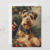 Airedale Terrier Weihnachten (Vorderseite)