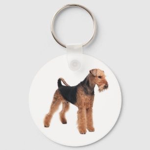 Airedale Terrier Welpe Hund Budget Schlüsselanhä Schlüsselanhänger