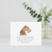 Airedale, Walisisch, Lakeland Terrier Keepake Postkarte (Stehend Vorderseite)