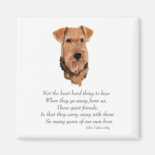 Airedale-, Welsh-, Lakeland Terrier Andenken Magnet