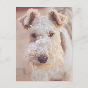 Airedale Welsh Terrier Type Doppy Head Postkarte