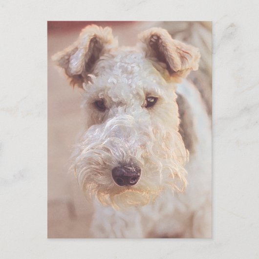 Airedale Welsh Terrier Type Doppy Head Postkarte (Vorderseite)
