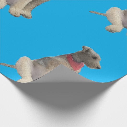 Airedale Wrapping Paper Blue Geschenkpapier (Ecke)