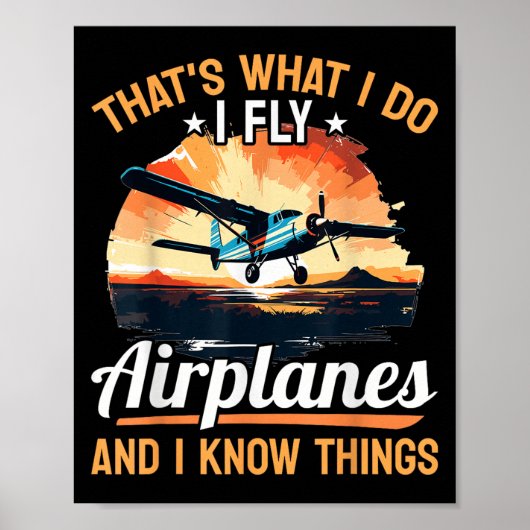 Airplane Aircraft Lot - That's What I Do I Fly Air Poster (Vorne)
