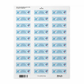 Airplane Aviator Baby Boy Address Labels (Vorne)